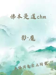 佛本是道chm