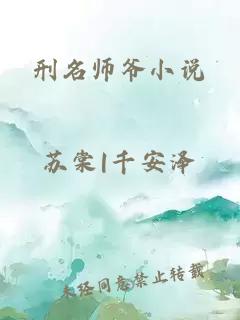 刑名师爷小说