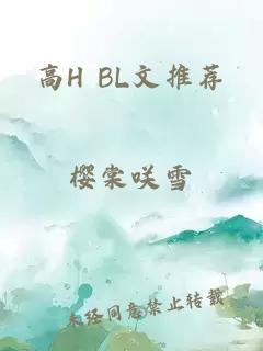 高H BL文推荐