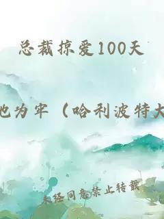 总裁掠爱100天