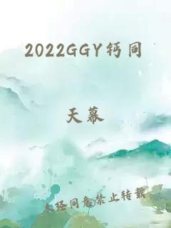 2022GGY钙同