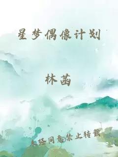 星梦偶像计划