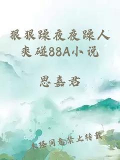 狠狠躁夜夜躁人爽碰88A小说