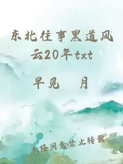 东北往事黑道风云20年txt