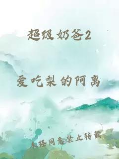 超级奶爸2