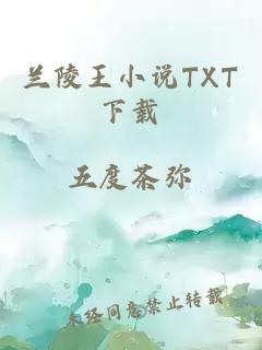 兰陵王小说TXT下载