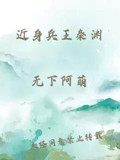 近身兵王秦渊