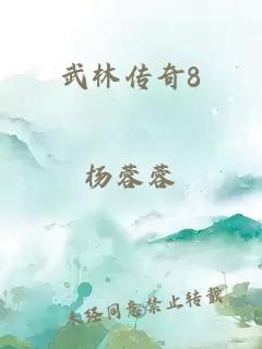 武林传奇8