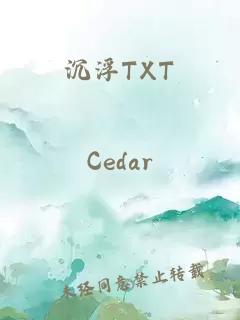 沉浮TXT