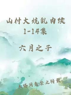 山村大炕乱肉续1-14集