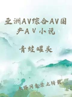 亚洲AV综合AV国产AⅤ小说