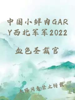 中国小鲜肉GARY西北军军2022