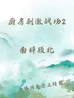 厨房刺激战场2