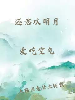 还君以明月