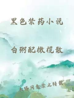 黑色禁药小说