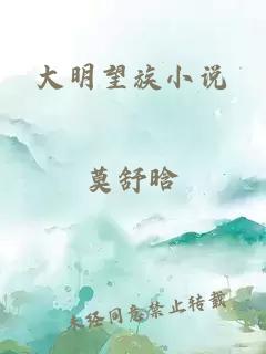 大明望族小说