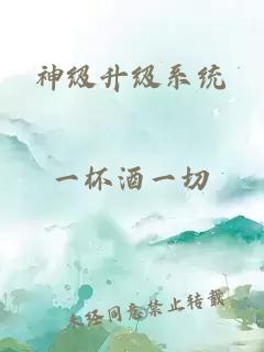 神级升级系统