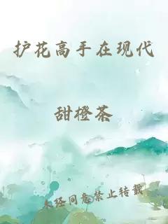 护花高手在现代