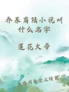 乔荞商陆小说叫什么名字