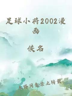 足球小将2002漫画