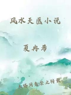 风水天医小说