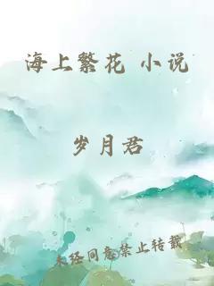 海上繁花 小说