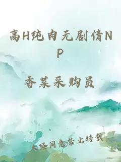 高H纯肉无剧情NP