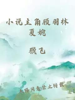 小说主角顾羽林夏婉