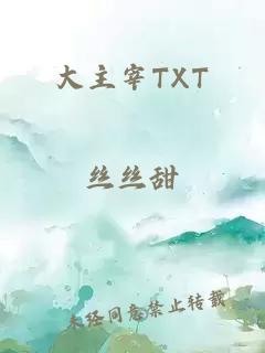 大主宰TXT