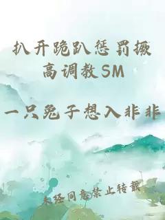 扒开跪趴惩罚撅高调教SM