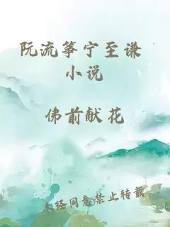 阮流筝宁至谦 小说