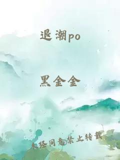 退潮po