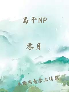 高干NP