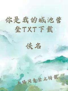 你是我的城池营垒TXT下载