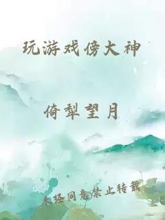 玩游戏傍大神