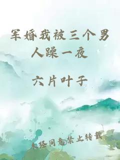 永夜星河原著小说叫什么名字