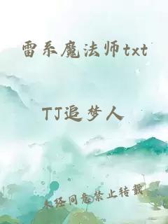 雷系魔法师txt