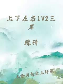 上下左右1V2三岸