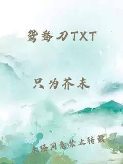 鸳鸯刀TXT