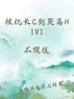 被机长C到哭高H1V1