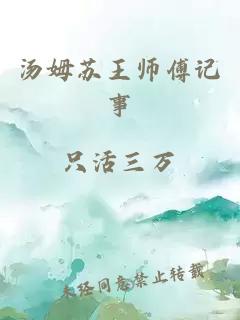 汤姆苏王师傅记事