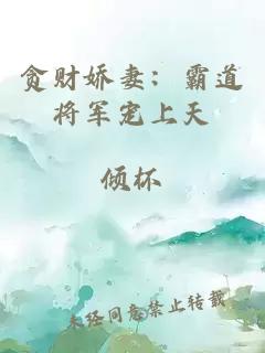 贪财娇妻：霸道将军宠上天