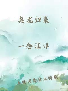 真龙归来