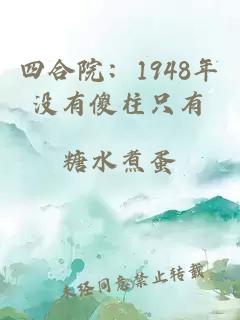 四合院：1948年没有傻柱只有