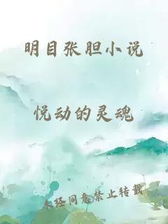 明目张胆小说