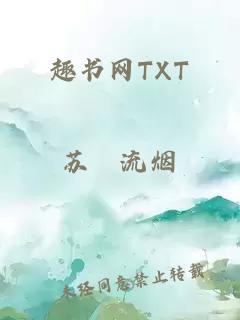 趣书网TXT