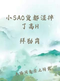 小SAO货都湿掉了高H