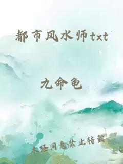 都市风水师txt