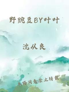 野豌豆BY叶叶