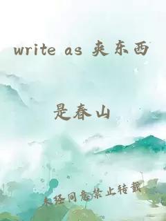 write as 夹东西